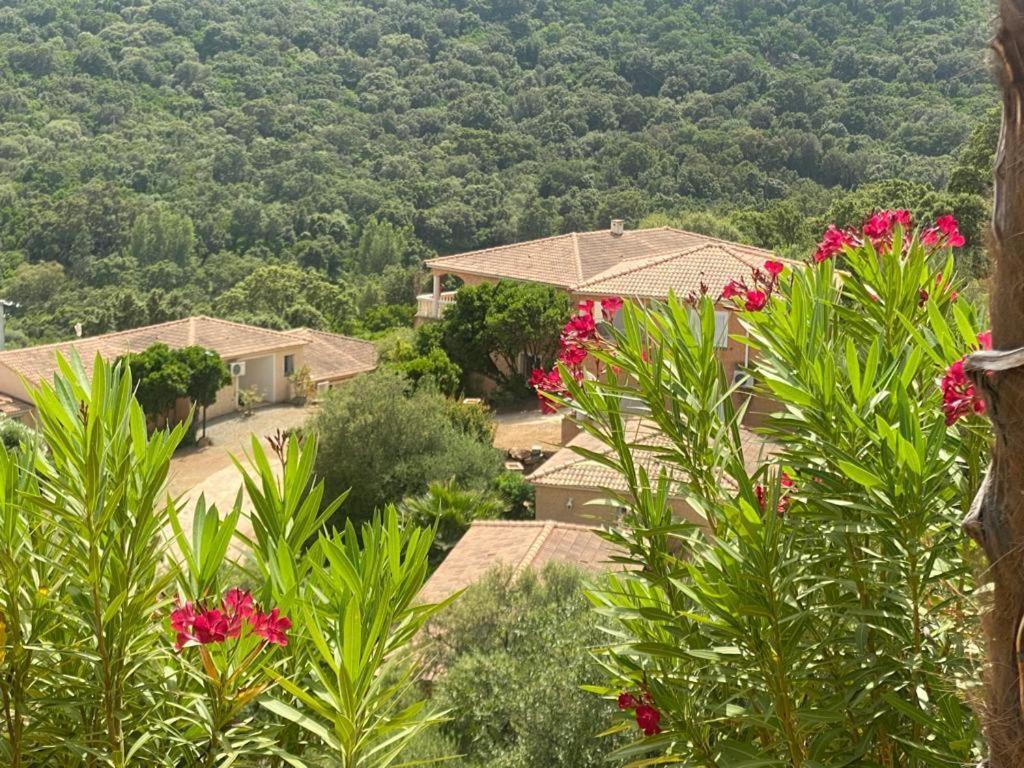Via Mare Hotel Sainte-Lucie de Porto-Vecchio Kültér fotó